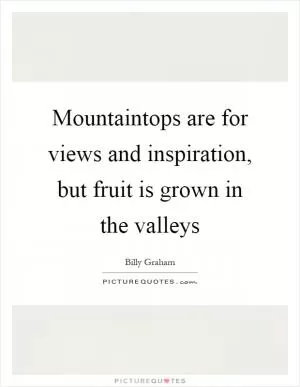 Mountaintops are for views and inspiration, but fruit is grown in the valleys Picture Quote #1