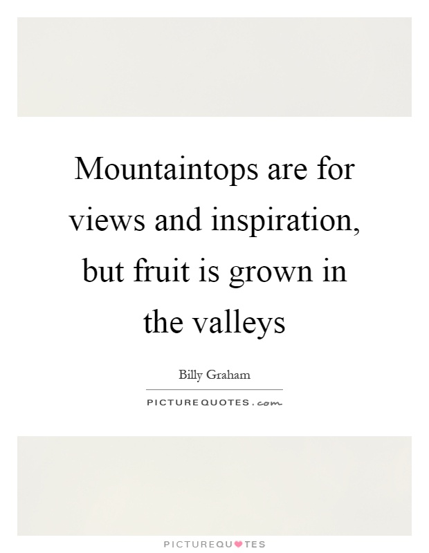 Mountaintops are for views and inspiration, but fruit is grown in the valleys Picture Quote #1
