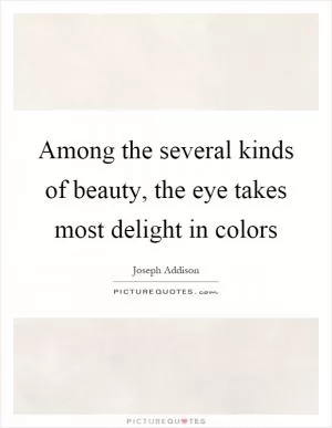 Among the several kinds of beauty, the eye takes most delight in colors Picture Quote #1