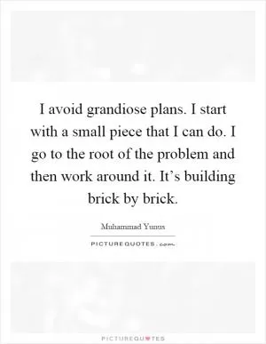 I avoid grandiose plans. I start with a small piece that I can do. I go to the root of the problem and then work around it. It’s building brick by brick Picture Quote #1