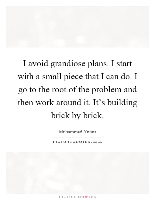 I avoid grandiose plans. I start with a small piece that I can do. I go to the root of the problem and then work around it. It's building brick by brick Picture Quote #1