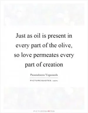 Just as oil is present in every part of the olive, so love permeates every part of creation Picture Quote #1