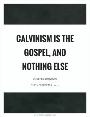 Calvinism is the gospel, and nothing else Picture Quote #1