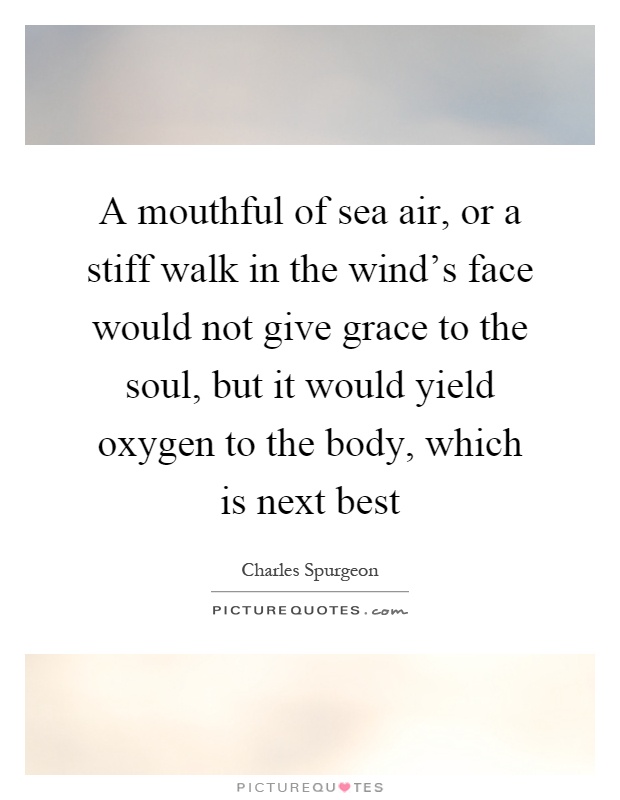 A mouthful of sea air, or a stiff walk in the wind's face would not give grace to the soul, but it would yield oxygen to the body, which is next best Picture Quote #1