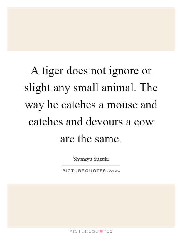 A tiger does not ignore or slight any small animal. The way he catches a mouse and catches and devours a cow are the same Picture Quote #1
