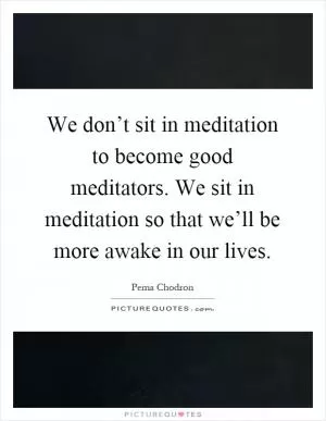 We don’t sit in meditation to become good meditators. We sit in meditation so that we’ll be more awake in our lives Picture Quote #1