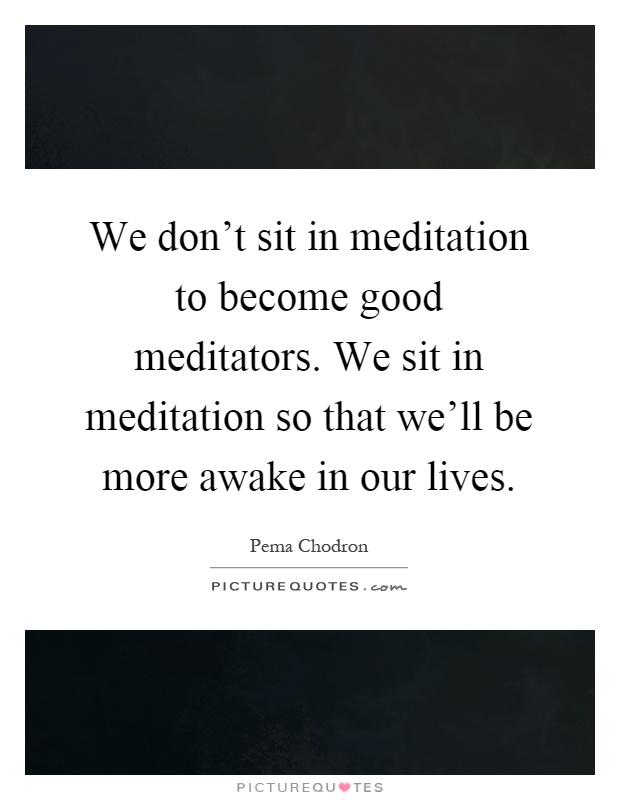 We don't sit in meditation to become good meditators. We sit in meditation so that we'll be more awake in our lives Picture Quote #1