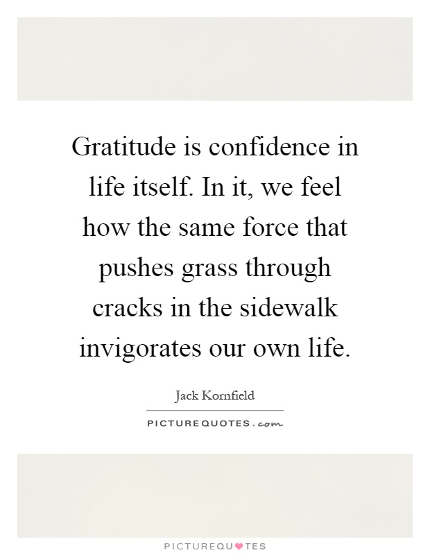 Gratitude is confidence in life itself. In it, we feel how the same force that pushes grass through cracks in the sidewalk invigorates our own life Picture Quote #1