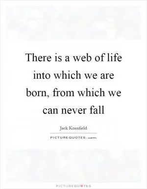 There is a web of life into which we are born, from which we can never fall Picture Quote #1