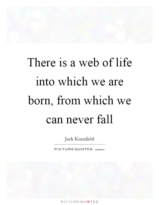 There is a web of life into which we are born, from which we can never fall Picture Quote #1