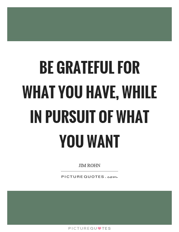 Be grateful for what you have, while in pursuit of what you want Picture Quote #1