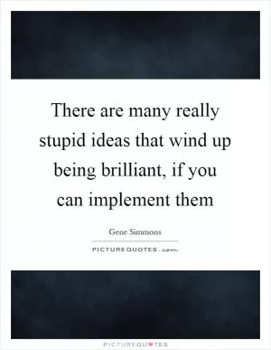 There are many really stupid ideas that wind up being brilliant, if you can implement them Picture Quote #1