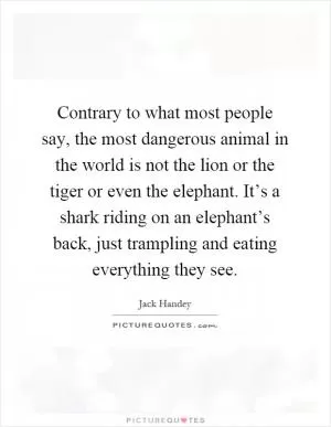 Contrary to what most people say, the most dangerous animal in the world is not the lion or the tiger or even the elephant. It’s a shark riding on an elephant’s back, just trampling and eating everything they see Picture Quote #1