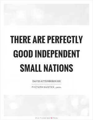 There are perfectly good independent small nations Picture Quote #1