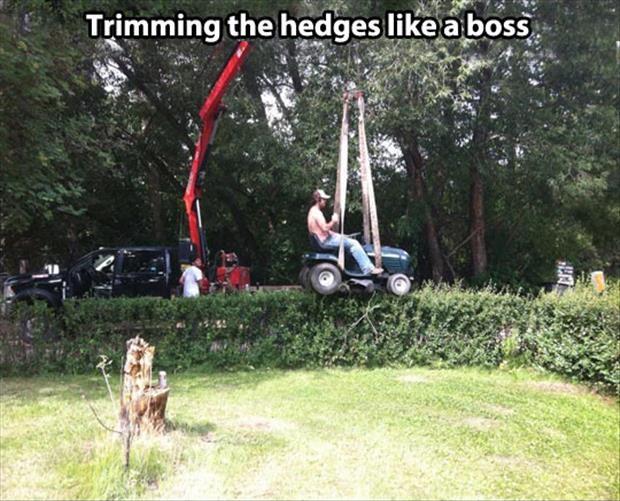 Trimming the hedges like a boss Picture Quote #1