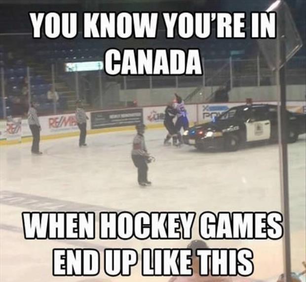 You know you're in Canada when hockey games end up like this Picture Quote #1