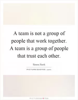 A team is not a group of people that work together. A team is a group of people that trust each other Picture Quote #1
