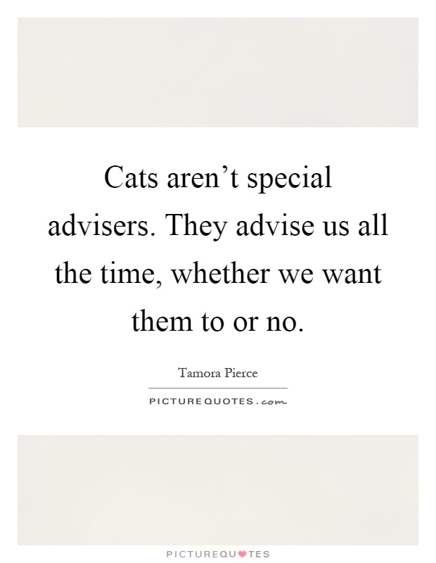 Cats aren't special advisers. They advise us all the time, whether we want them to or no Picture Quote #1