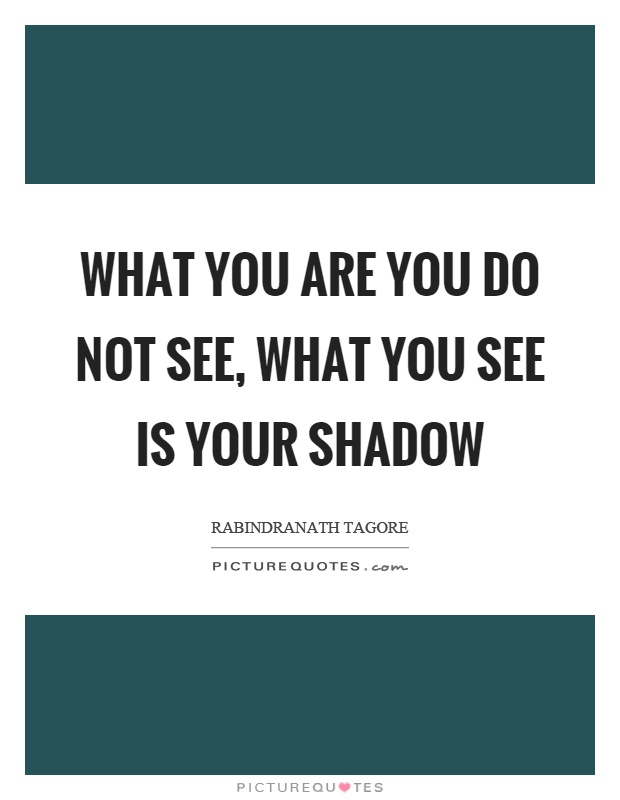 What you are you do not see, what you see is your shadow Picture Quote #1