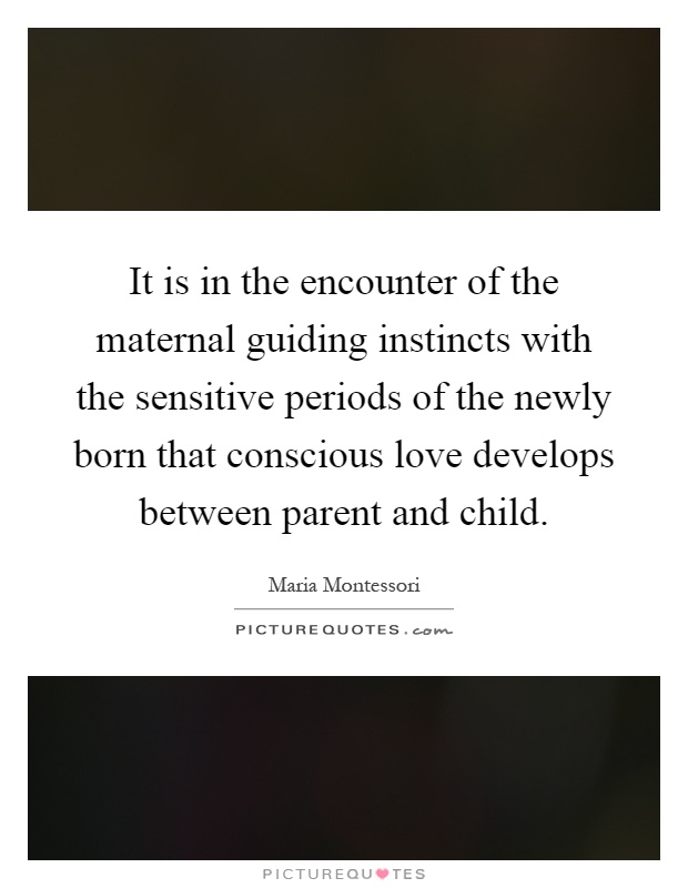 It is in the encounter of the maternal guiding instincts with the sensitive periods of the newly born that conscious love develops between parent and child Picture Quote #1