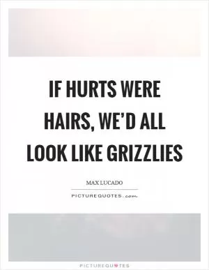 If hurts were hairs, we’d all look like grizzlies Picture Quote #1