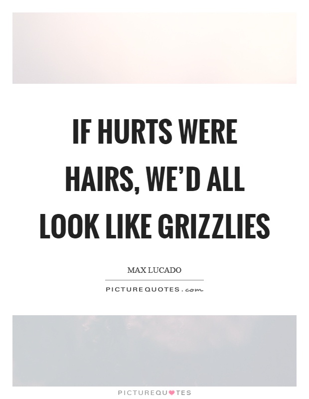 If hurts were hairs, we'd all look like grizzlies Picture Quote #1