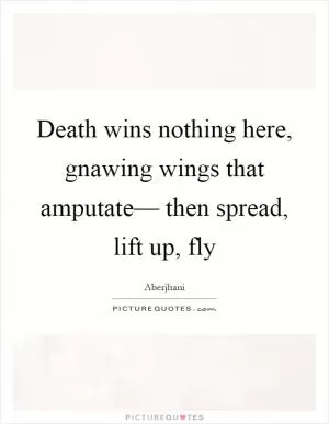 Death wins nothing here, gnawing wings that amputate–– then spread, lift up, fly Picture Quote #1