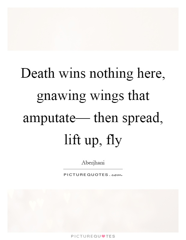 Death wins nothing here, gnawing wings that amputate–– then spread, lift up, fly Picture Quote #1