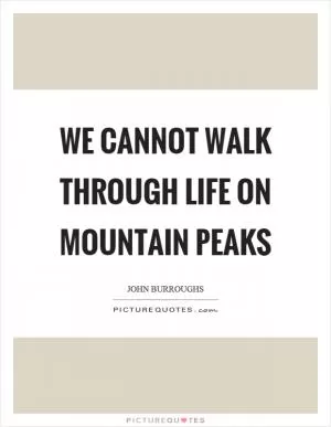 We cannot walk through life on mountain peaks Picture Quote #1
