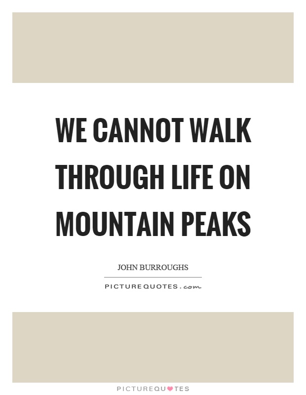 We cannot walk through life on mountain peaks Picture Quote #1