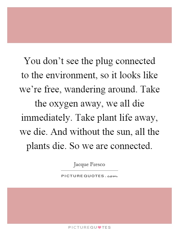 You don't see the plug connected to the environment, so it looks like we're free, wandering around. Take the oxygen away, we all die immediately. Take plant life away, we die. And without the sun, all the plants die. So we are connected Picture Quote #1