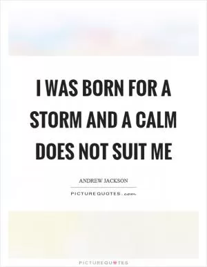 I was born for a storm and a calm does not suit me Picture Quote #1