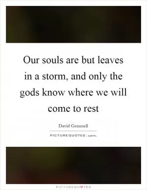 Our souls are but leaves in a storm, and only the gods know where we will come to rest Picture Quote #1