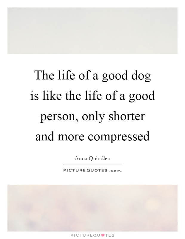 The life of a good dog is like the life of a good person, only shorter and more compressed Picture Quote #1