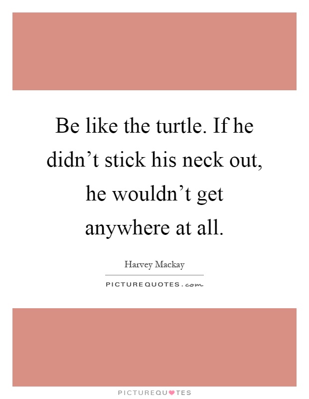 Be like the turtle. If he didn't stick his neck out, he wouldn't get anywhere at all Picture Quote #1