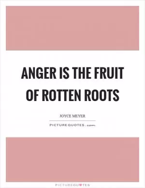 Anger is the fruit of rotten roots Picture Quote #1