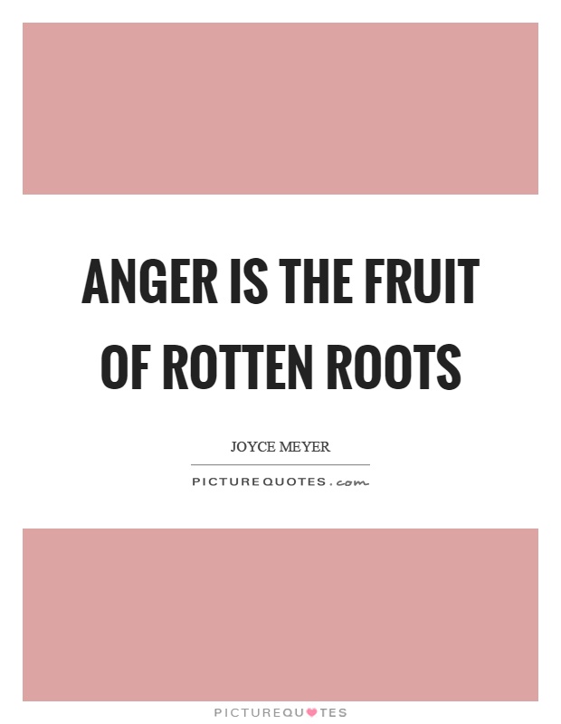 Anger is the fruit of rotten roots Picture Quote #1