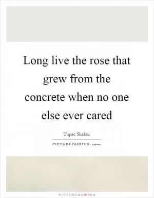 Long live the rose that grew from the concrete when no one else ever cared Picture Quote #1