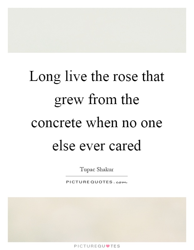 Long live the rose that grew from the concrete when no one else ever cared Picture Quote #1