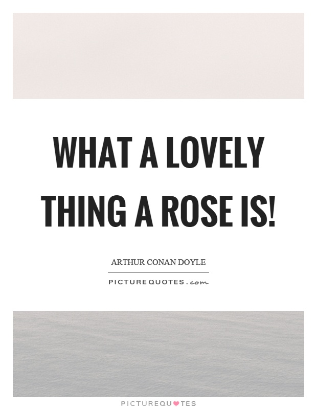 What a lovely thing a rose is! Picture Quote #1