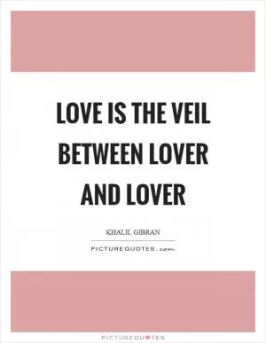 Love is the veil between lover and lover Picture Quote #1