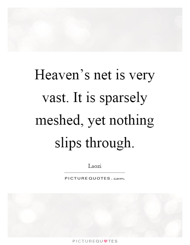 Heaven's net is very vast. It is sparsely meshed, yet nothing slips through Picture Quote #1