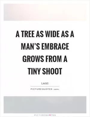 A tree as wide as a man’s embrace grows from a tiny shoot Picture Quote #1