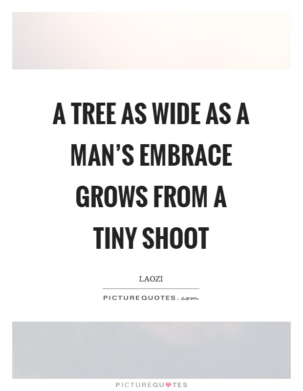 A tree as wide as a man's embrace grows from a tiny shoot Picture Quote #1