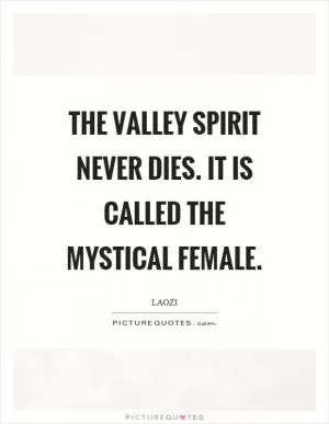 The valley spirit never dies. It is called the mystical female Picture Quote #1