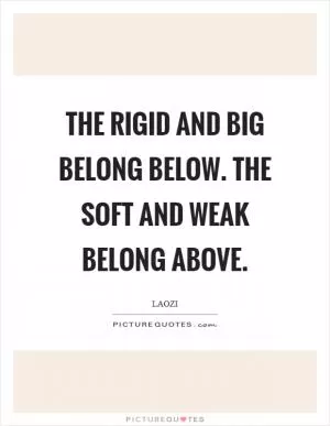 The rigid and big belong below. The soft and weak belong above Picture Quote #1
