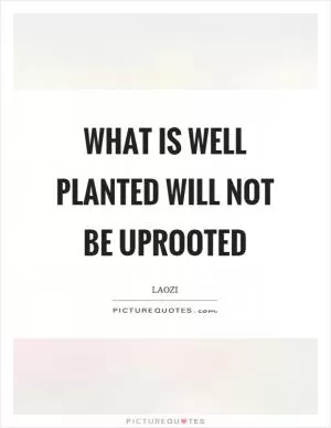 What is well planted will not be uprooted Picture Quote #1