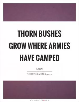 Thorn bushes grow where armies have camped Picture Quote #1