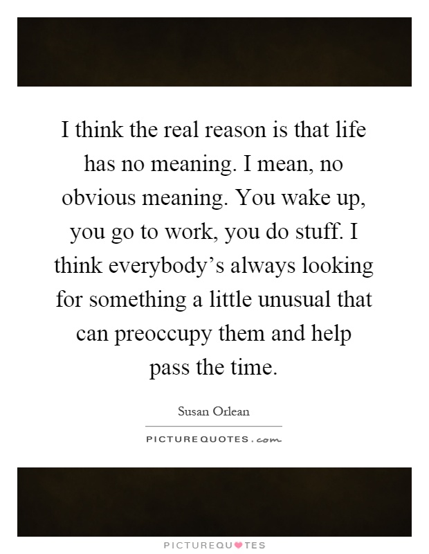 I think the real reason is that life has no meaning. I mean, no obvious meaning. You wake up, you go to work, you do stuff. I think everybody's always looking for something a little unusual that can preoccupy them and help pass the time Picture Quote #1
