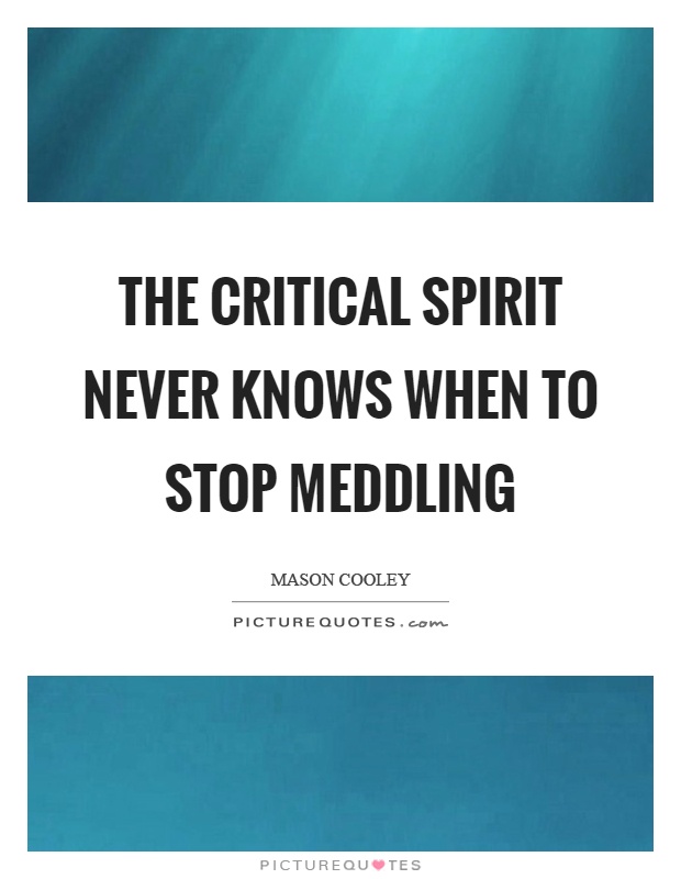 The critical spirit never knows when to stop meddling Picture Quote #1